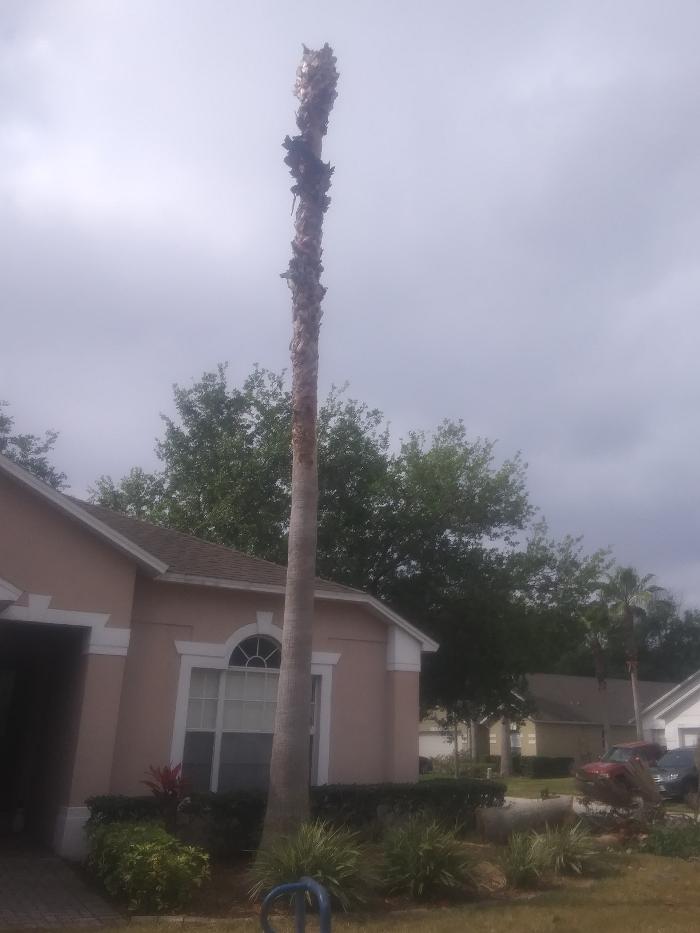 THERE'S A WAY TREE SERVICE LLC Image