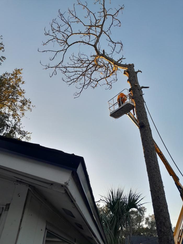 THERE'S A WAY TREE SERVICE LLC Image