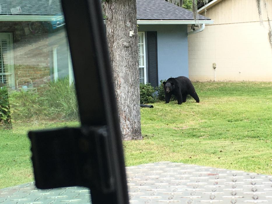 THERE'S A WAY TREE SERVICE LLC Image