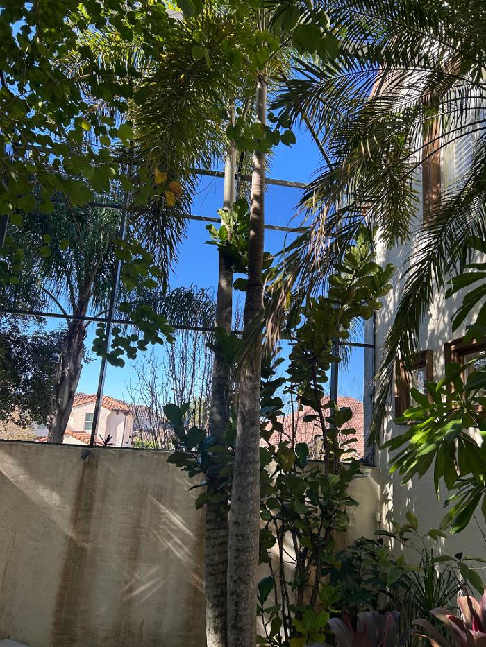 THERE'S A WAY TREE SERVICE LLC Image