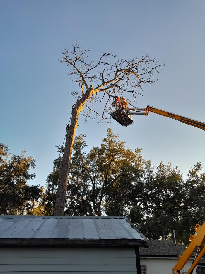 THERE'S A WAY TREE SERVICE LLC Image