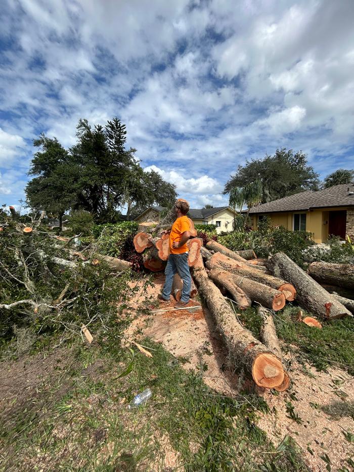 THERE'S A WAY TREE SERVICE LLC Image