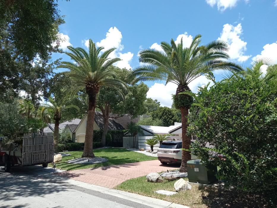 THERE'S A WAY TREE SERVICE LLC Image