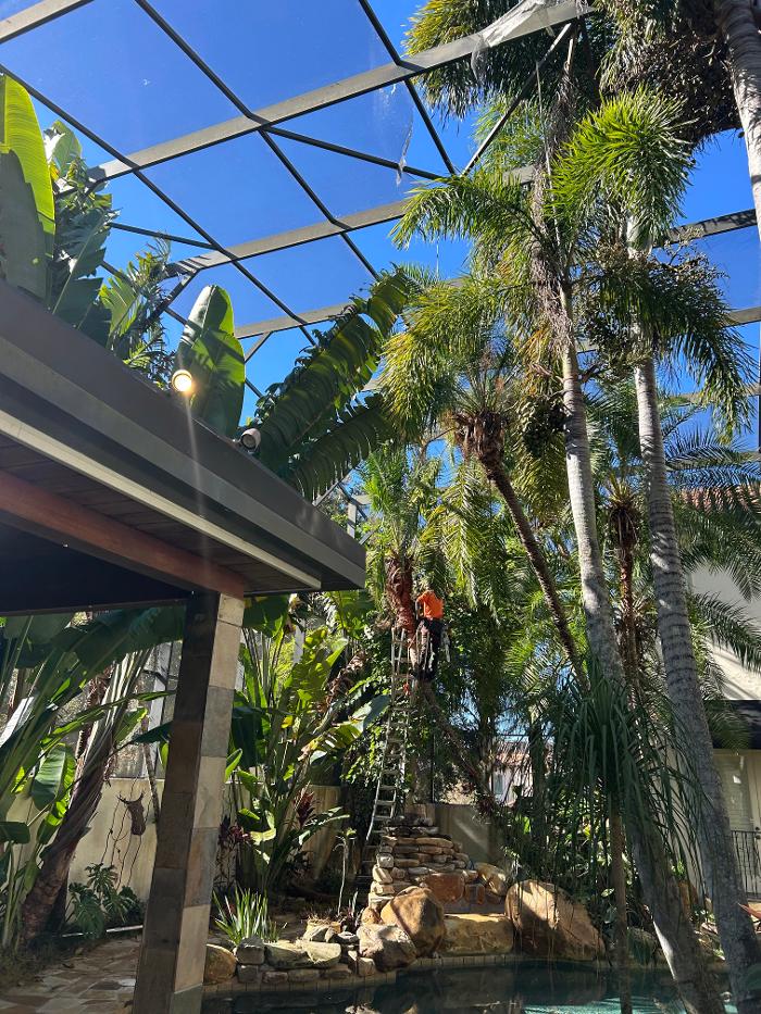 THERE'S A WAY TREE SERVICE LLC Image