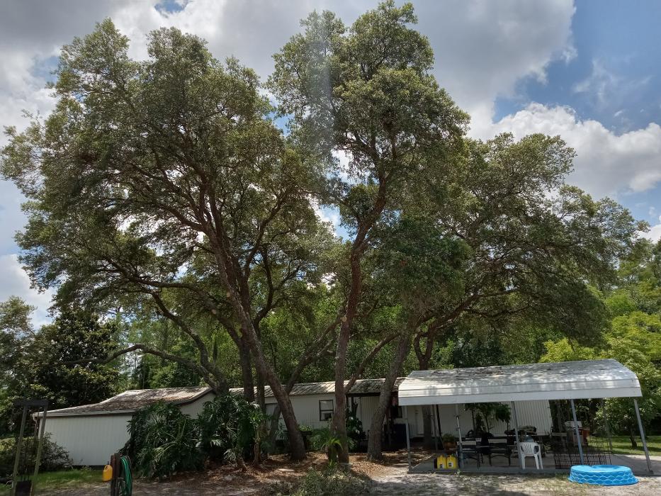 THERE'S A WAY TREE SERVICE LLC Image