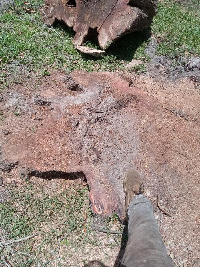 THERE'S A WAY TREE SERVICE LLC Image