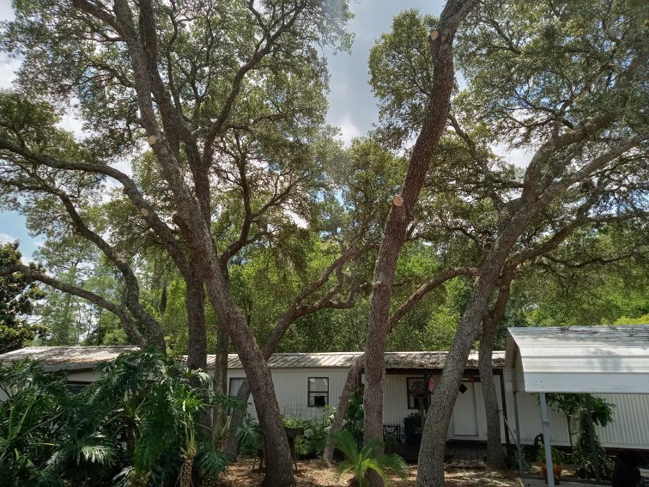 THERE'S A WAY TREE SERVICE LLC Image