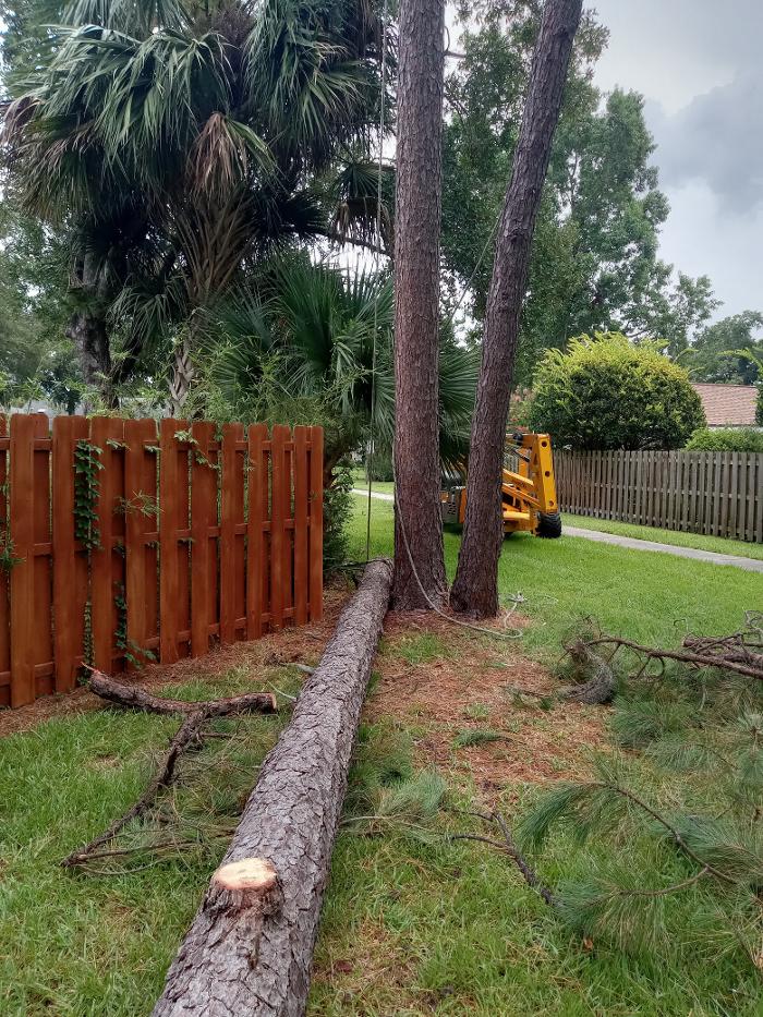 THERE'S A WAY TREE SERVICE LLC Image