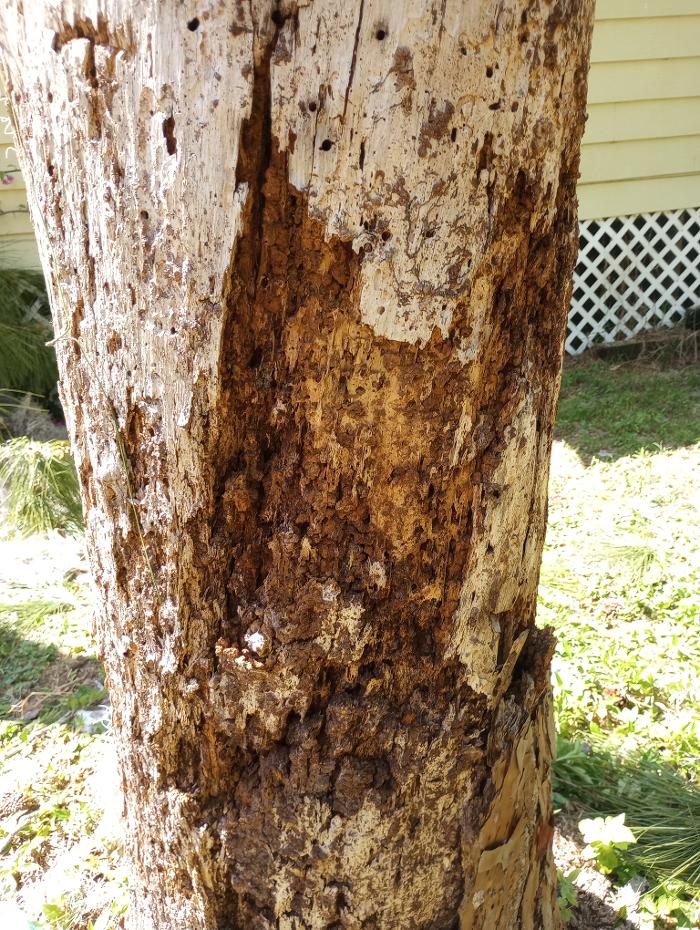 THERE'S A WAY TREE SERVICE LLC Image