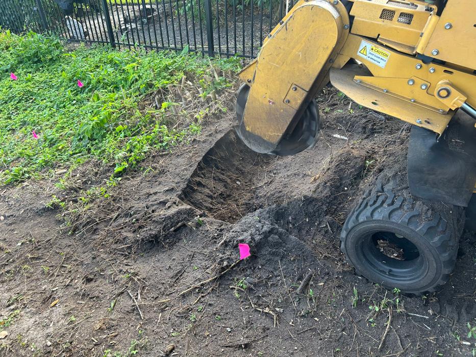 THERE'S A WAY TREE SERVICE LLC Image