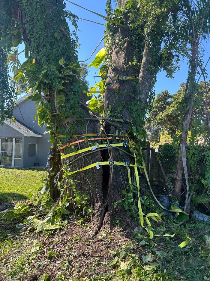 THERE'S A WAY TREE SERVICE LLC Image