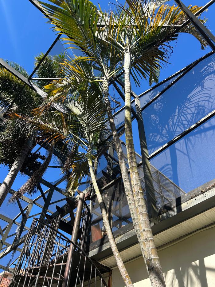 THERE'S A WAY TREE SERVICE LLC Image