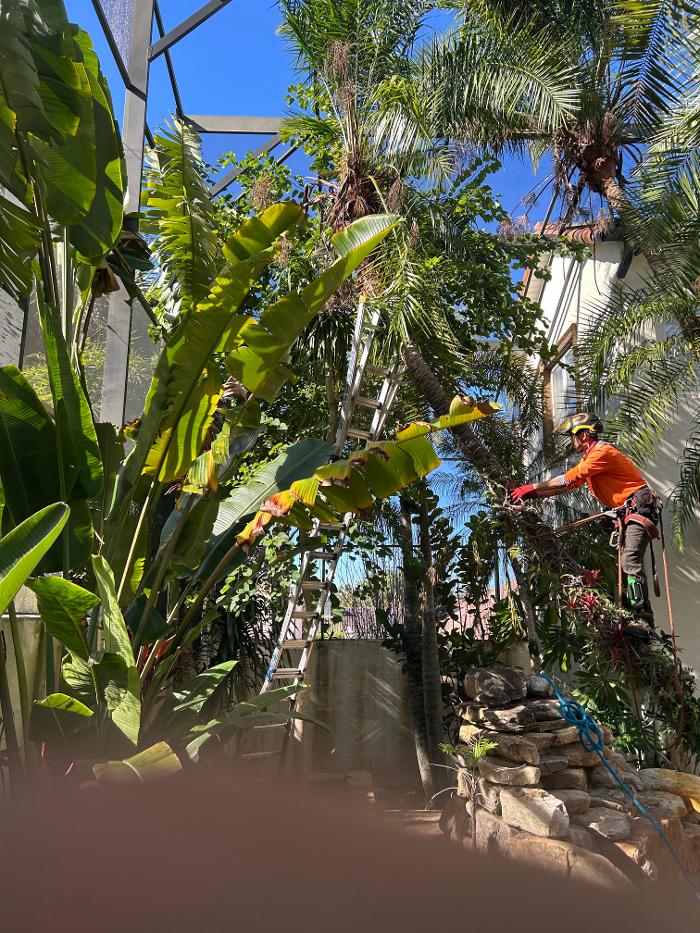 THERE'S A WAY TREE SERVICE LLC Image