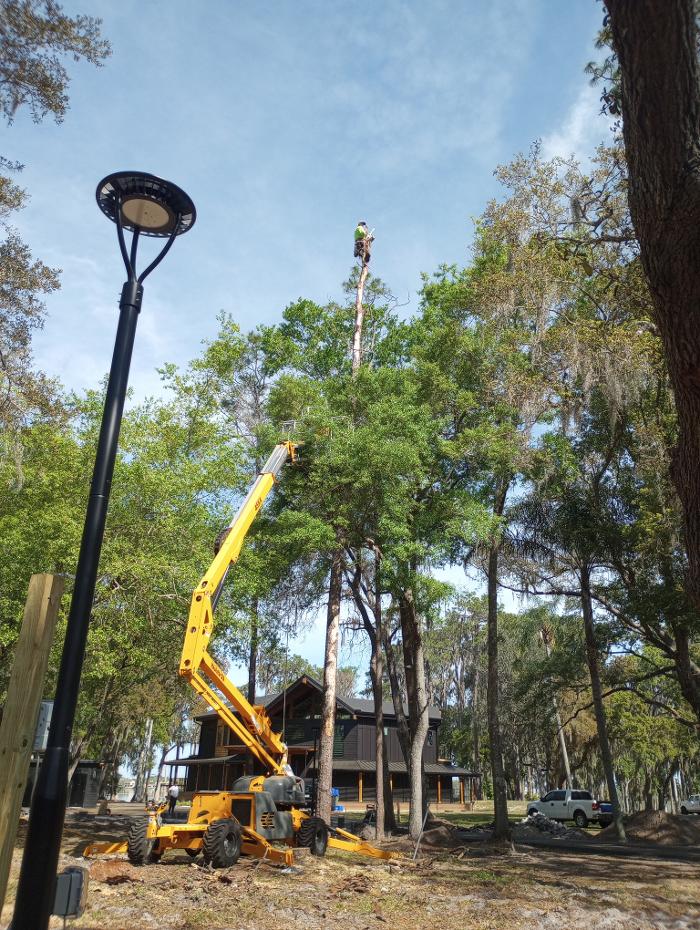 THERE'S A WAY TREE SERVICE LLC Image