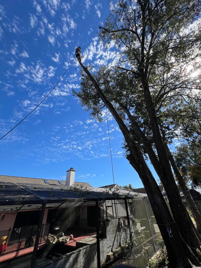 THERE'S A WAY TREE SERVICE LLC Image