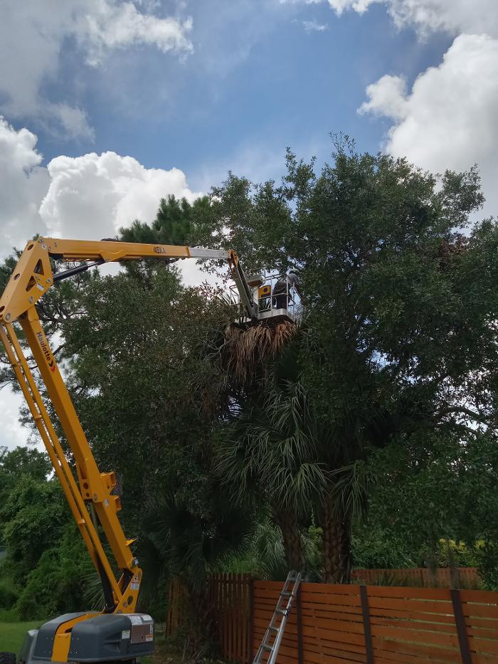 THERE'S A WAY TREE SERVICE LLC Image