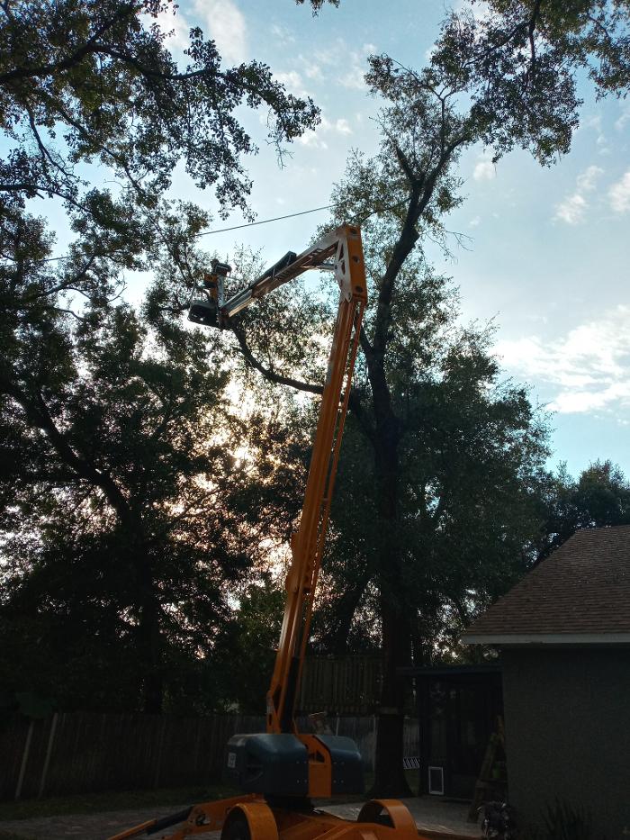 THERE'S A WAY TREE SERVICE LLC Image