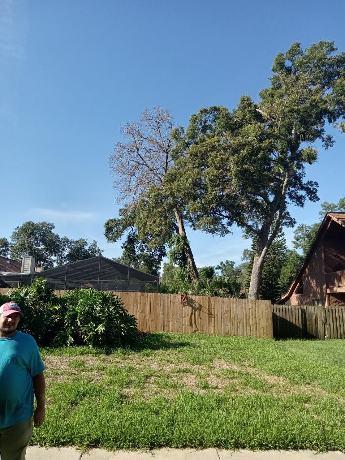 THERE'S A WAY TREE SERVICE LLC Image