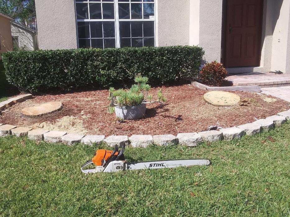 THERE'S A WAY TREE SERVICE LLC Image