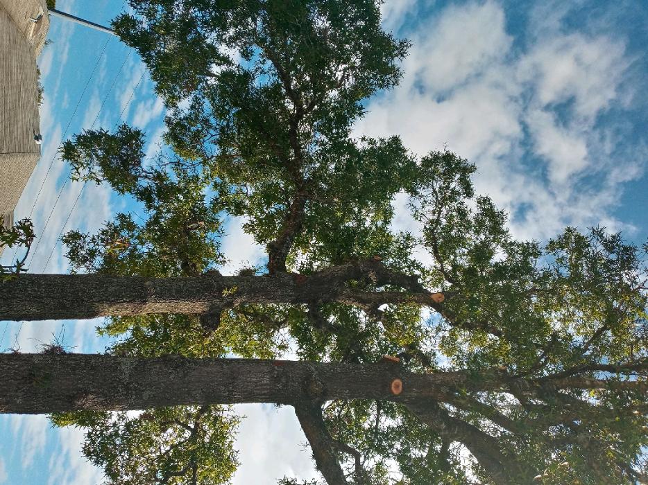 THERE'S A WAY TREE SERVICE LLC Image