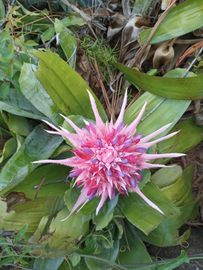 THERE'S A WAY TREE SERVICE LLC Image