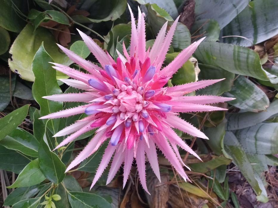 THERE'S A WAY TREE SERVICE LLC Image