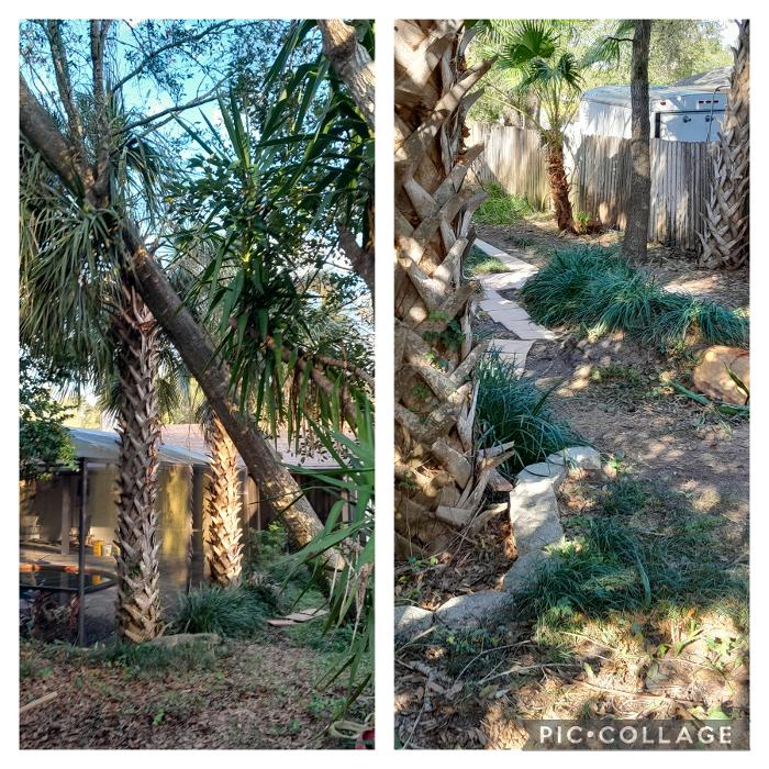 THERE'S A WAY TREE SERVICE LLC Image