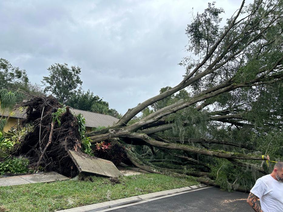 THERE'S A WAY TREE SERVICE LLC Image