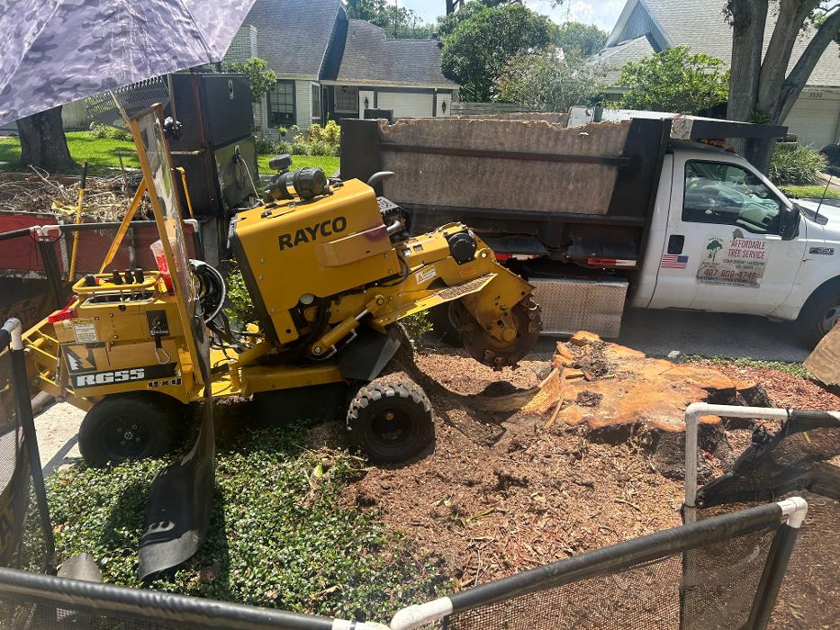 THERE'S A WAY TREE SERVICE LLC Image