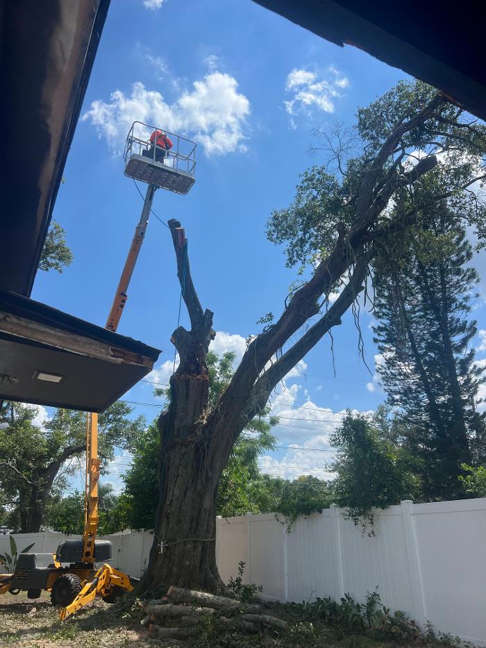 THERE'S A WAY TREE SERVICE LLC Image