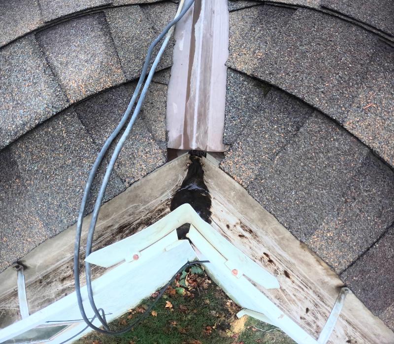 HomeSmiles Greater Portland Maine Image