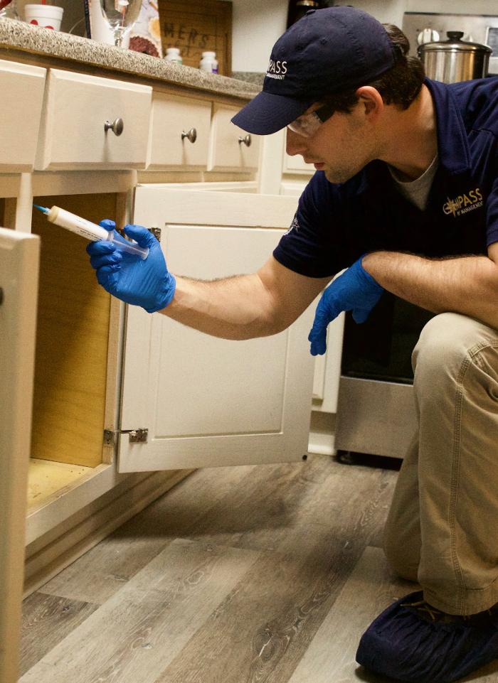 Compass Pest Management Image