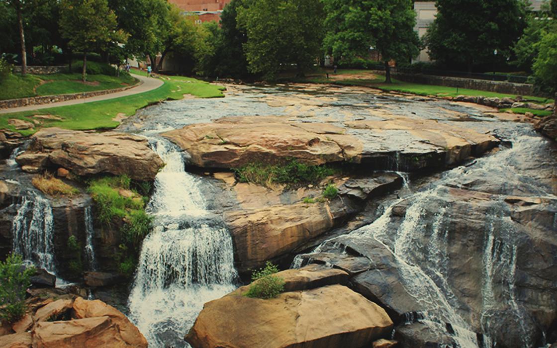 Compass Pest Management Image