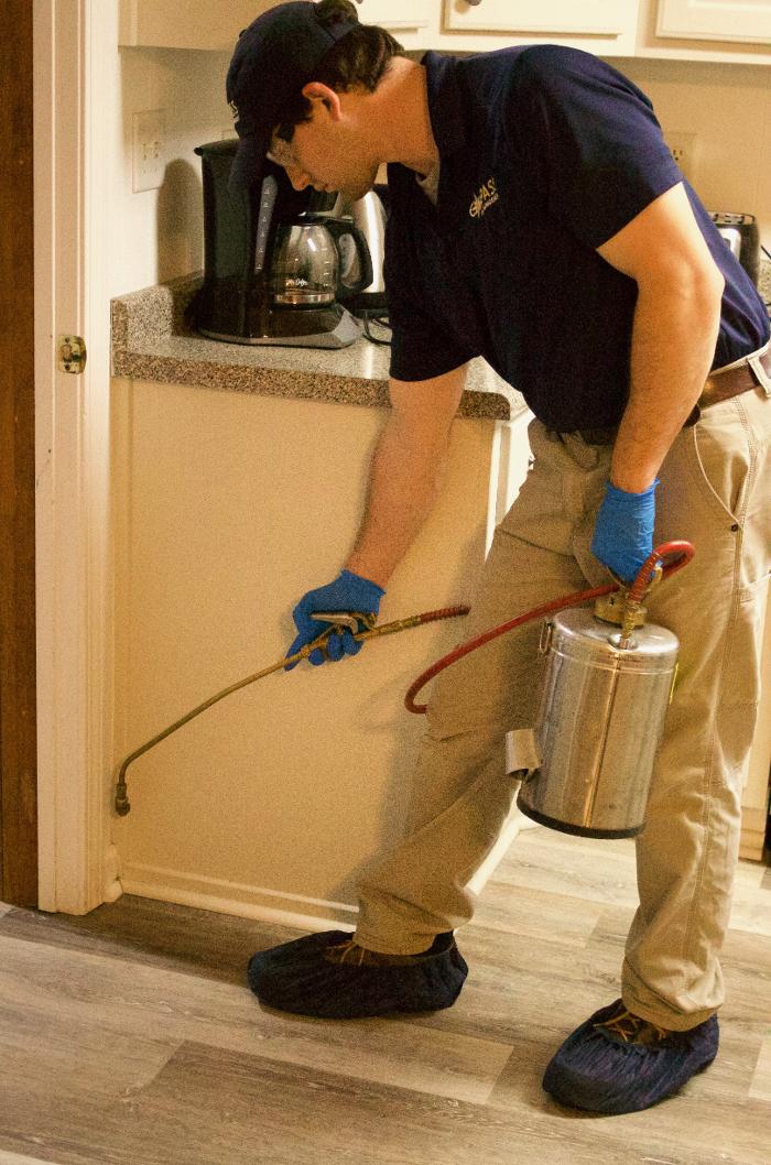 Compass Pest Management Image