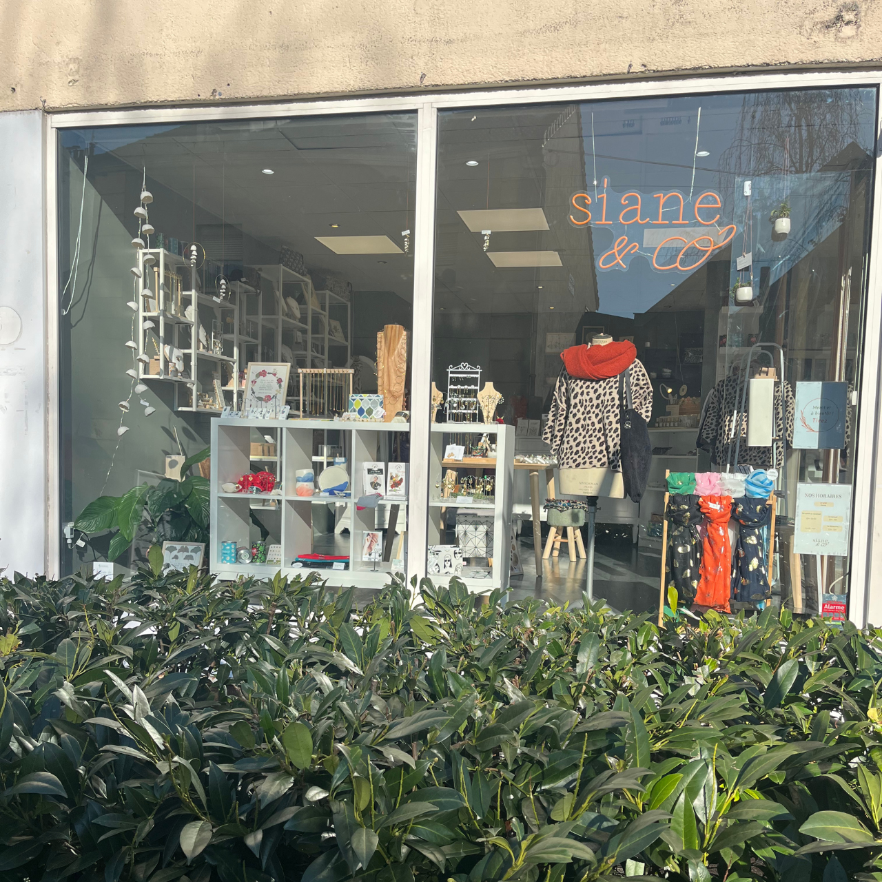 galerie image