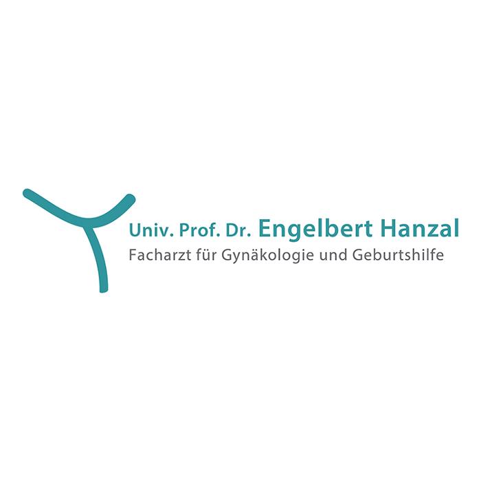 ao. Univ. Prof. Dr. Engelbert Hanzal in Klosterneuburg