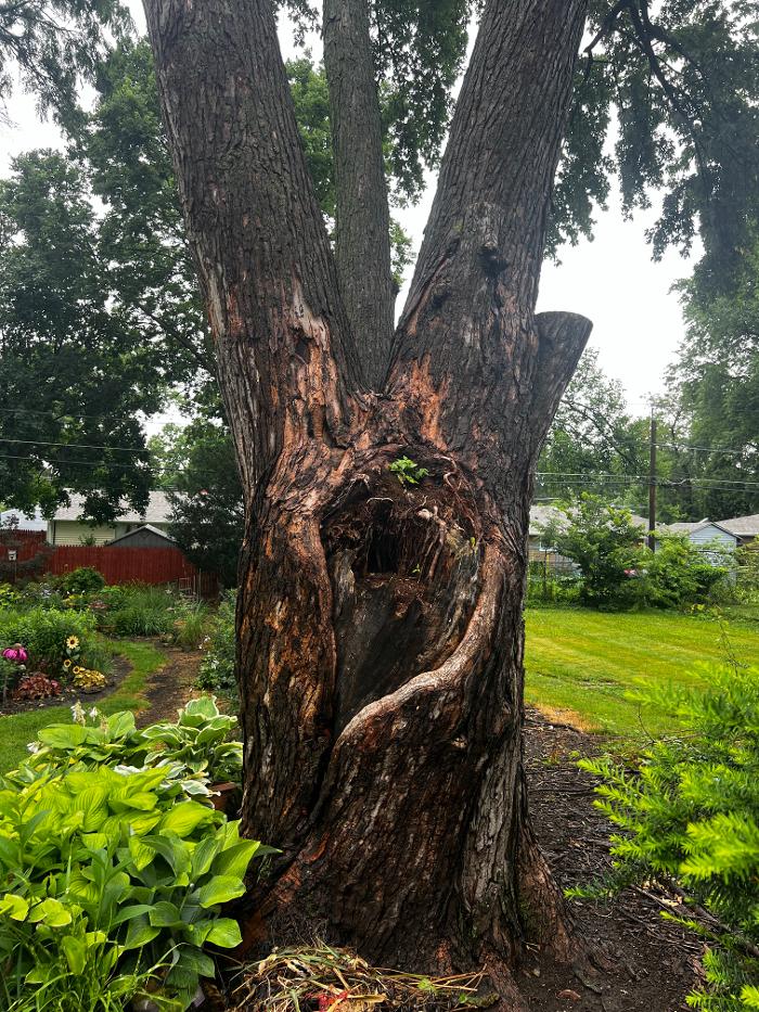 Aurora Electric Inc Image