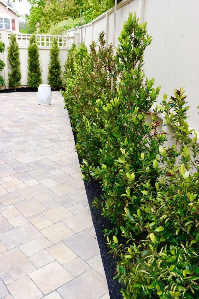 Fortino's Landscaping Image