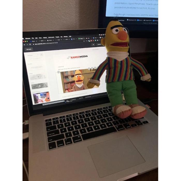 Google BERT Update 