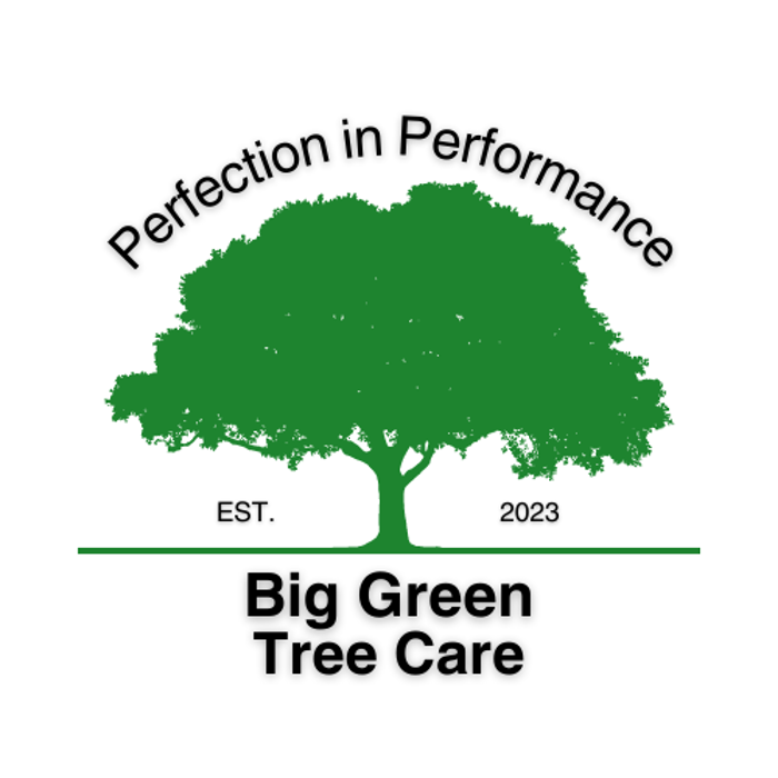 Big Green Tree Care