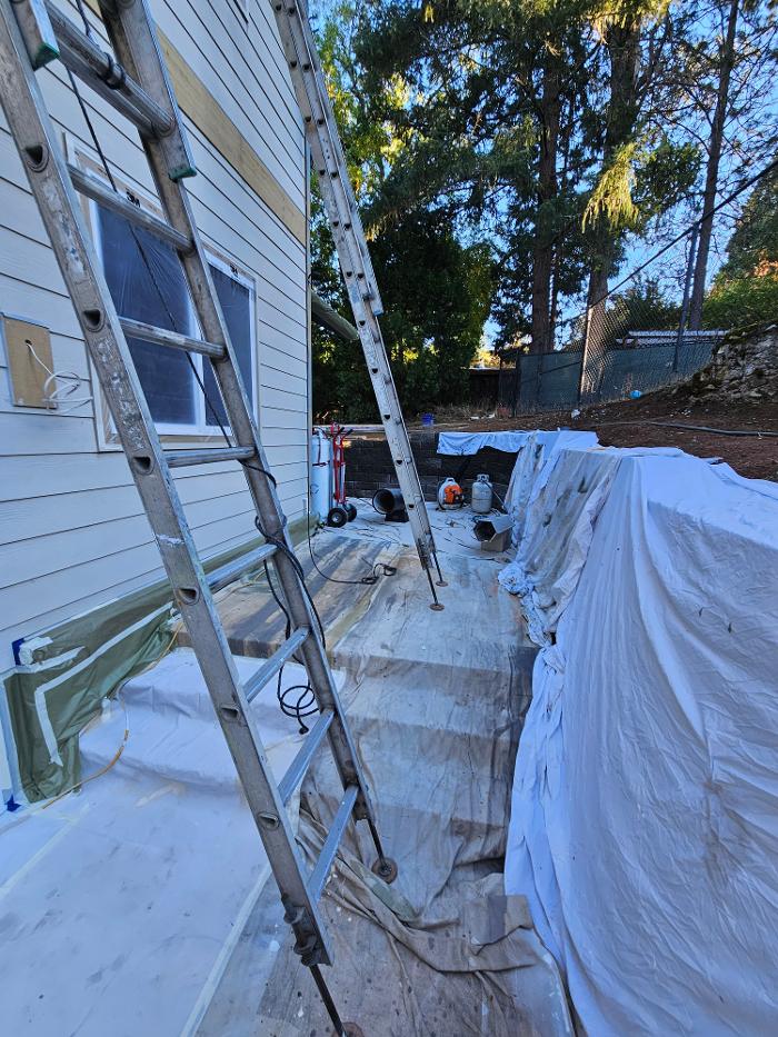 Chris Silva Painting Image