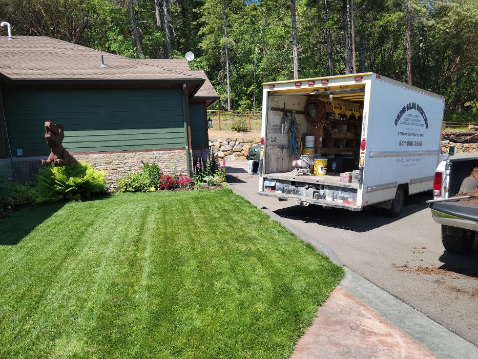 Chris Silva Painting Image