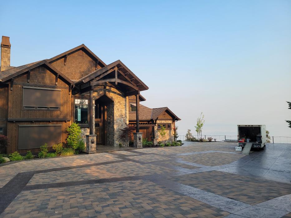 Chris Silva Painting Image