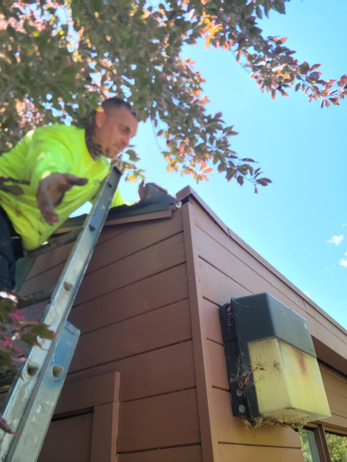 Chris Silva Painting Image