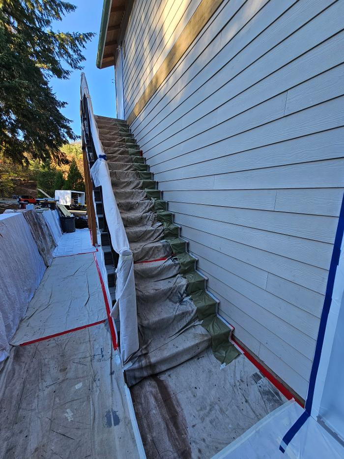 Chris Silva Painting Image