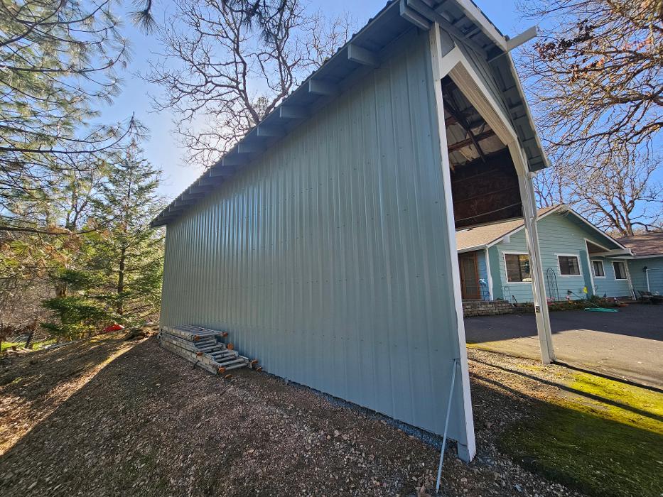 Chris Silva Painting Image