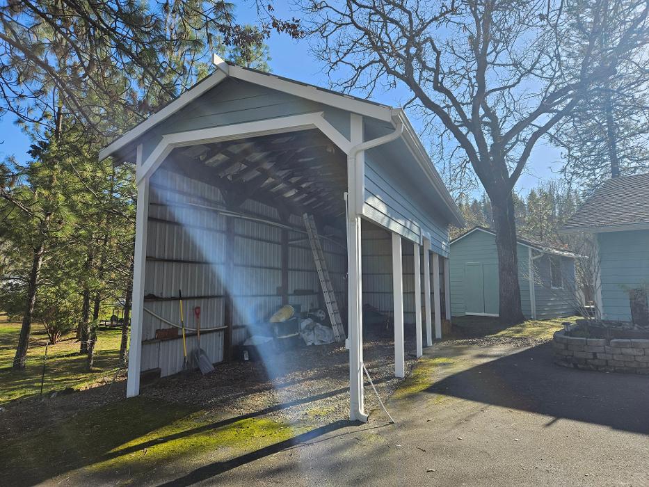 Chris Silva Painting Image