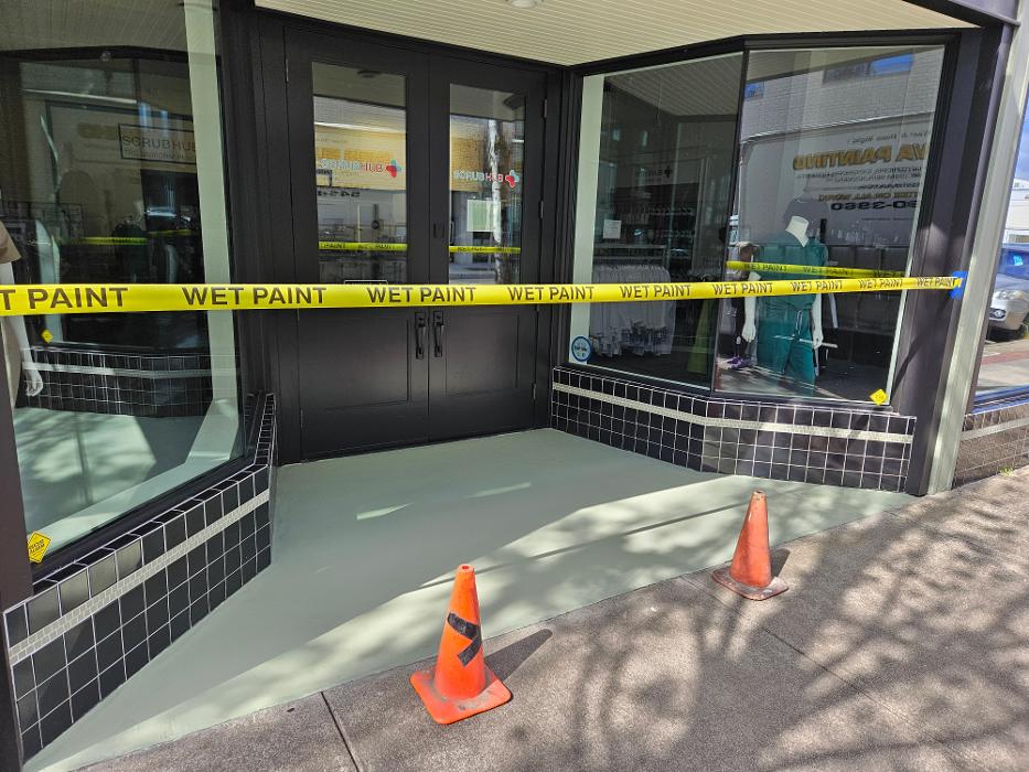 Chris Silva Painting Image