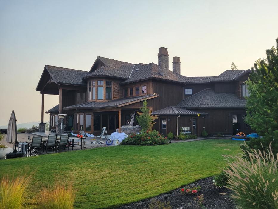 Chris Silva Painting Image