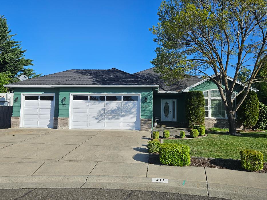 Chris Silva Painting Image